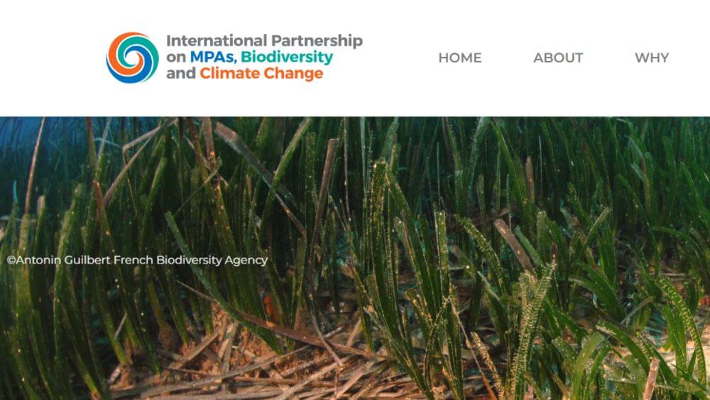 A screenshot of the International Partnership on MPAs, Biodiversity and Climate Change.