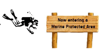 drawing of a diver looking at a sign underwater that says now entering a marine protected area