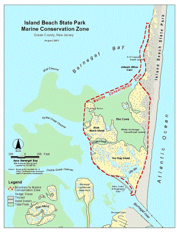 Island Beach State Park Marine Conservation Zone