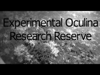 Oculina Banks Experimental Research Reserve Slide Presentation