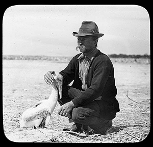 Paul Kroegel with a pelican