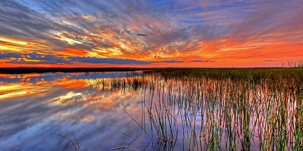sunset at the everglades