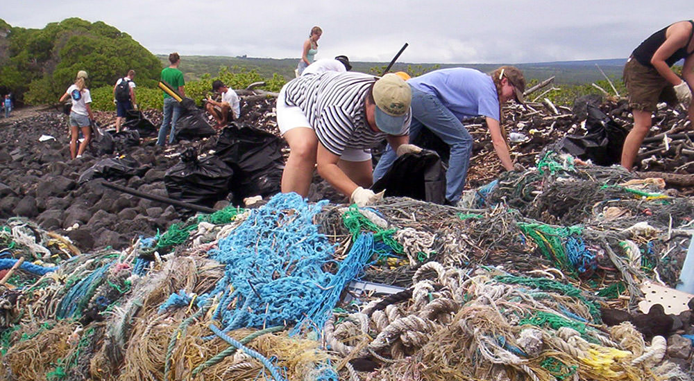 people cleaning marine debris off the shoreline