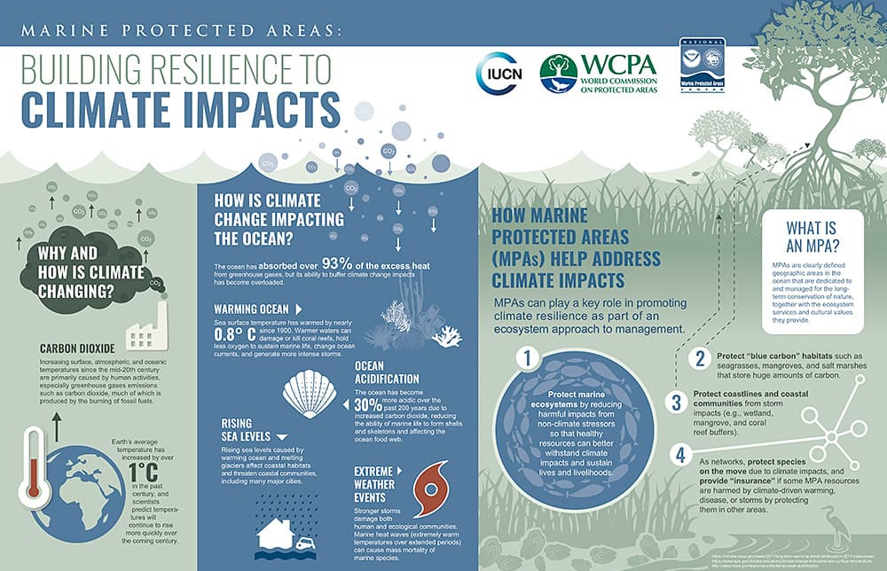 mpa building resilience to climate impacts infographic