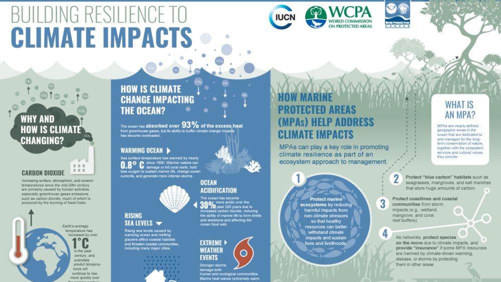 Infographic connecting how climate is changing, how climate change is impacting the ocean, and how MPAs can address climate impacts.