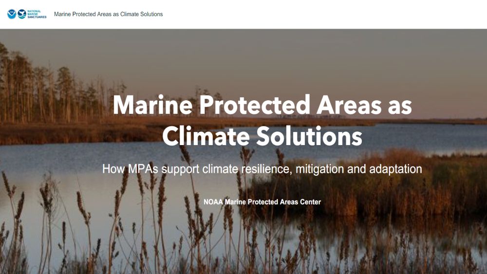 Screenshot of the Marine Protected Areas as Climate Solutions StoryMap, including an image of a marsh.