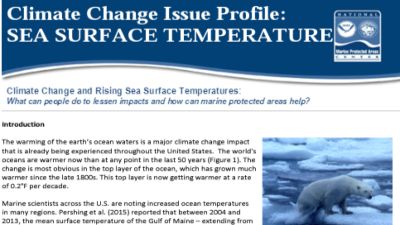 Screenshot of Climate Change Issue Profile: Rising Sea Surface Temperature