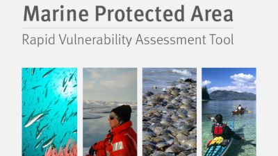 A screenshot of Rapid Vulnerability Assessment Tool, including images of coral and fish,
                                someone on a glacier, horseshoe crabs, and kayakers.