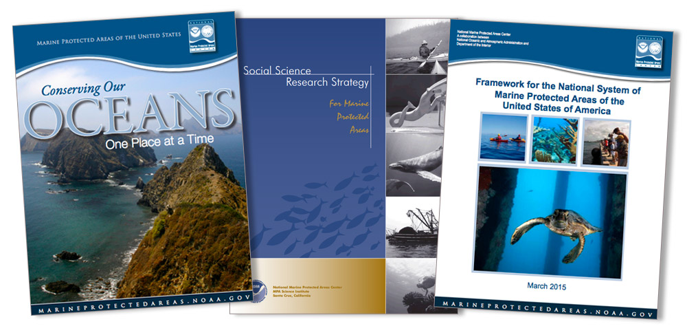 photo of some of the covers of the reports