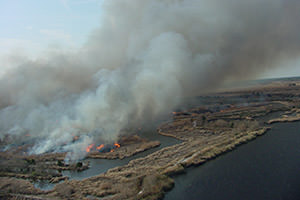 aerial shot of marshes on fire
