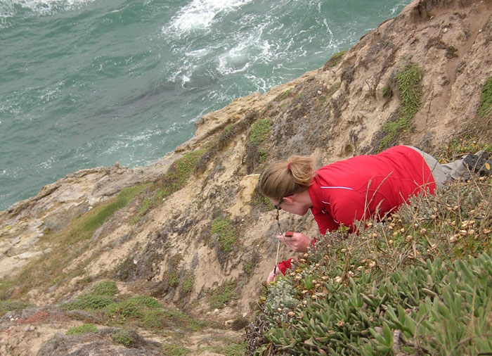 photo of woman taking a sample on a cliff