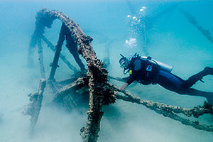 diver checking out a steamship wreck