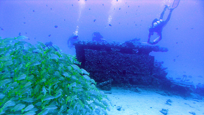diver examining a wreck