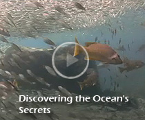 Discovering the Ocean's Secrets