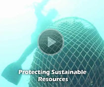 Protecting Sustainable Resources